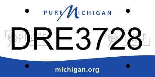 DRE3728 Michigan License Plate