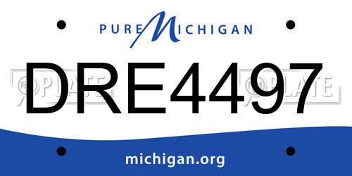 DRE4497 Michigan License Plate