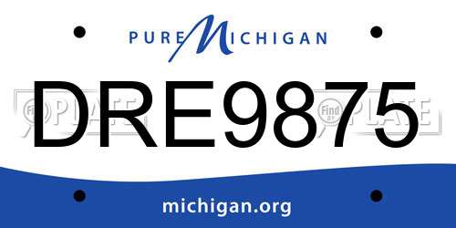 DRE9875 Michigan License Plate