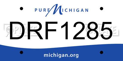 DRF1285 Michigan License Plate