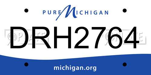DRH2764 Michigan License Plate