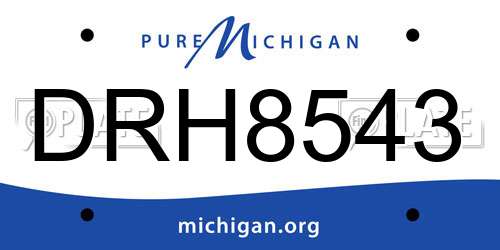 DRH8543 Michigan License Plate
