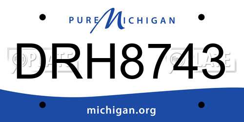 DRH8743 Michigan License Plate