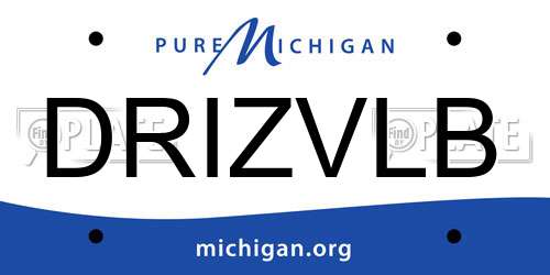 DRIZVLB Michigan License Plate