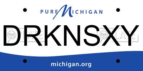 DRKNSXY Michigan License Plate