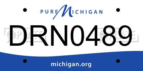 DRN0489 Michigan License Plate