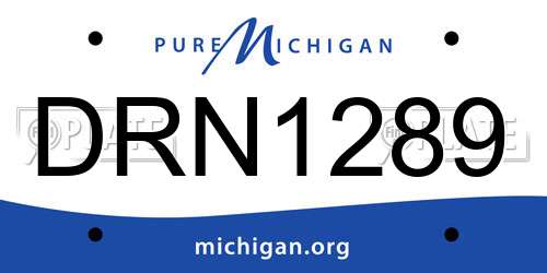 DRN1289 Michigan License Plate