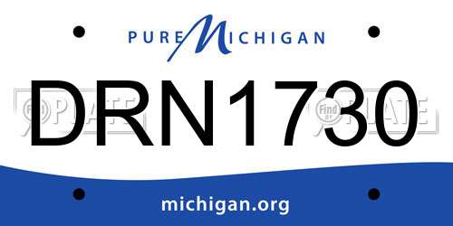 DRN1730 Michigan License Plate