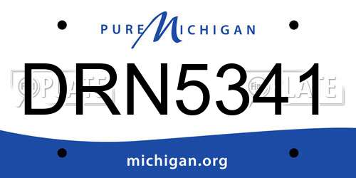 DRN5341 Michigan License Plate