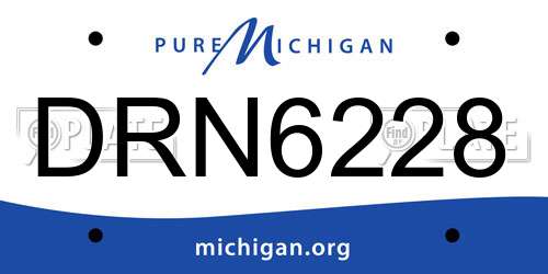 DRN6228 Michigan License Plate