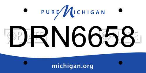 DRN6658 Michigan License Plate