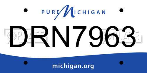 DRN7963 Michigan License Plate