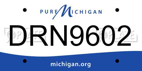 DRN9602 Michigan License Plate