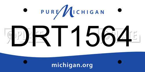 DRT1564 Michigan License Plate