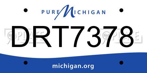 DRT7378 Michigan License Plate
