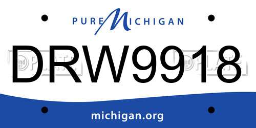 DRW9918 Michigan License Plate