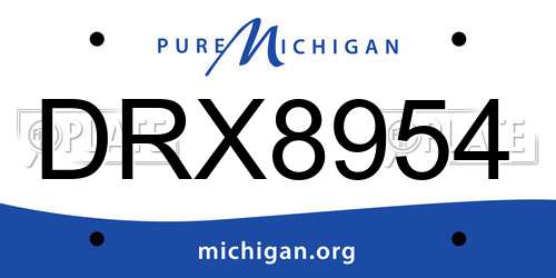 DRX8954 Michigan License Plate