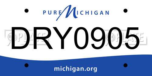DRY0905 Michigan License Plate
