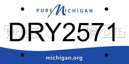 DRY2571 Michigan License Plate