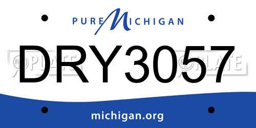 DRY3057 Michigan License Plate