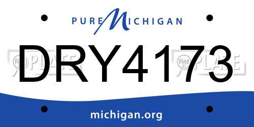 DRY4173 Michigan License Plate