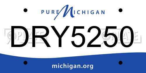 DRY5250 Michigan License Plate