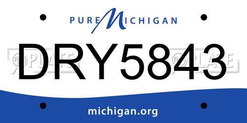 DRY5843 Michigan License Plate