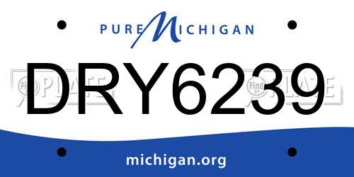 DRY6239 Michigan License Plate