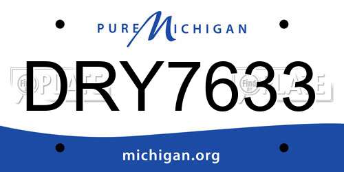 DRY7633 Michigan License Plate