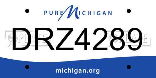 DRZ4289 Michigan License Plate
