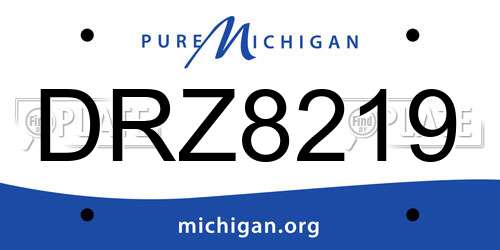 DRZ8219 Michigan License Plate