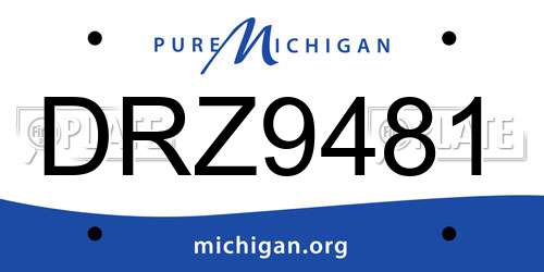 DRZ9481 Michigan License Plate