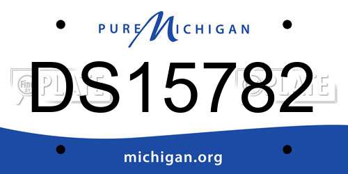 DS15782 Michigan License Plate