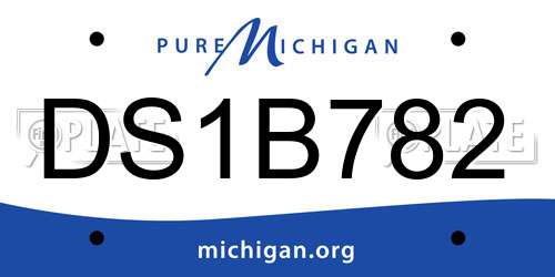 DS1B782 Michigan License Plate