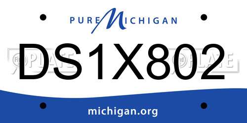 DS1X802 Michigan License Plate