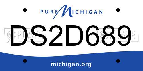 DS2D689 Michigan License Plate