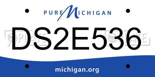 DS2E536 Michigan License Plate