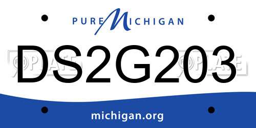 DS2G203 Michigan License Plate