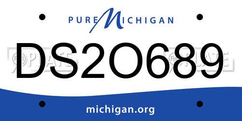 DS2O689 Michigan License Plate