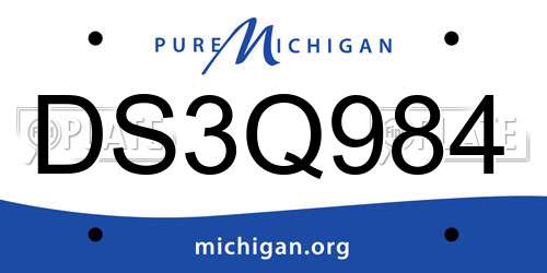 DS3Q984 Michigan License Plate