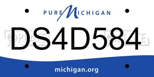 DS4D584 Michigan License Plate