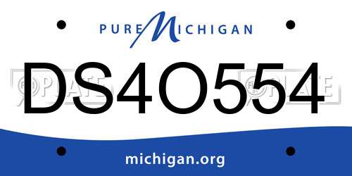 DS4O554 Michigan License Plate