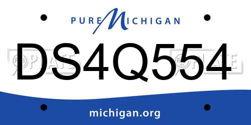DS4Q554 Michigan License Plate