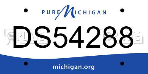 DS54288 Michigan License Plate