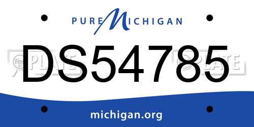 DS54785 Michigan License Plate