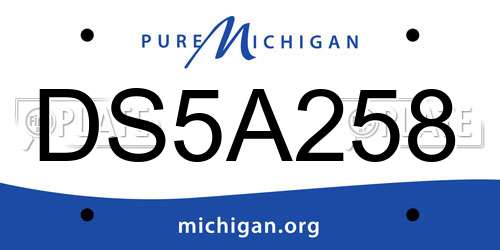 DS5A258 Michigan License Plate