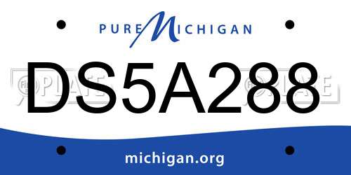 DS5A288 Michigan License Plate