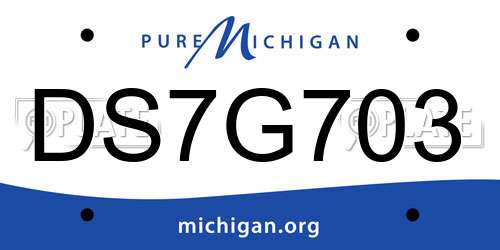 DS7G703 Michigan License Plate
