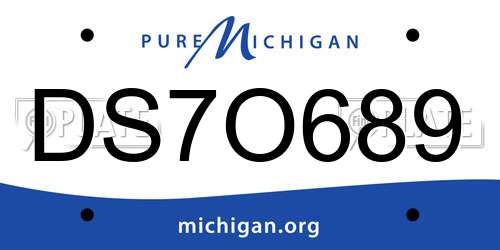DS7O689 Michigan License Plate