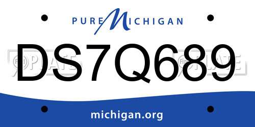 DS7Q689 Michigan License Plate